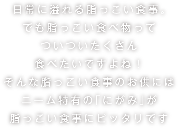 日常でも溢れる脂っこい食事。でも脂っこい食べ物ってついついたくさん食べたいですよね！そんな脂っこい食事のお供にはニーム特有の「にがみ」が脂っこい食事にピッタリです