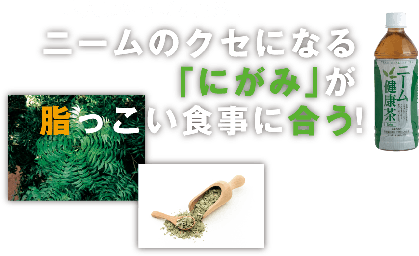 日本人はやっぱりお茶！ニームのクセになる「にがみ」が脂っこい食事に合う！